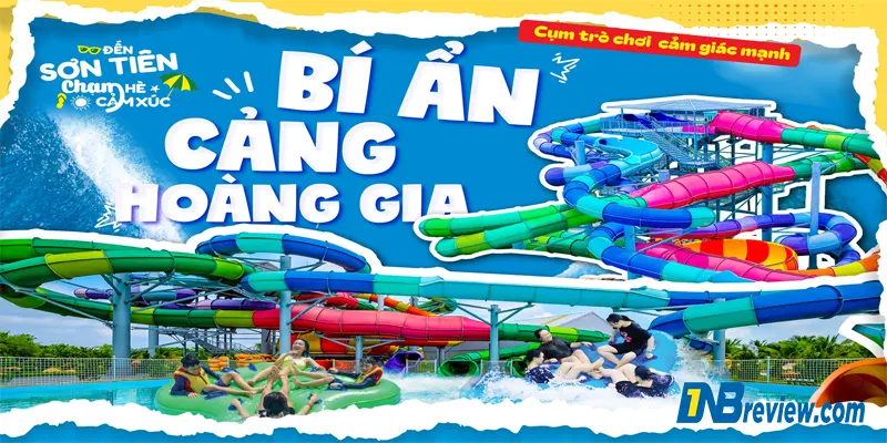 Review The Amazing Bay 2025: 7 Trải Nghiệm Không Thể Bỏ Lỡ!