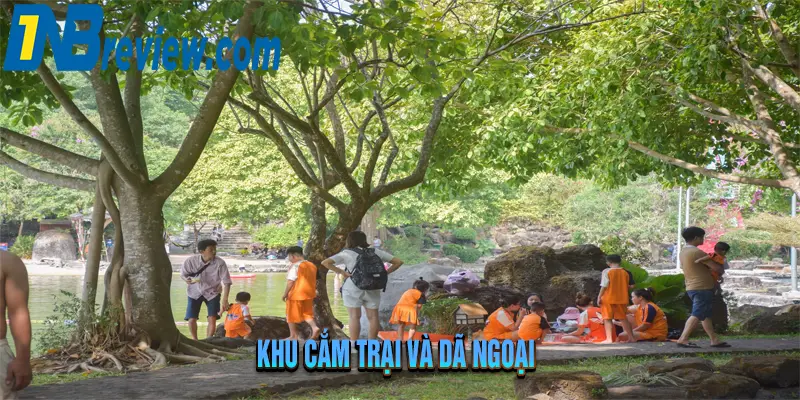 Khám Phá Suối Mơ Đồng Nai: 5 Điều Ít Ai Biết