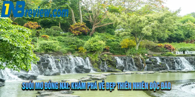 Khám Phá Suối Mơ Đồng Nai: 5 Điều Ít Ai Biết