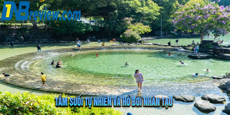 Khám Phá Suối Mơ Đồng Nai: 5 Điều Ít Ai Biết