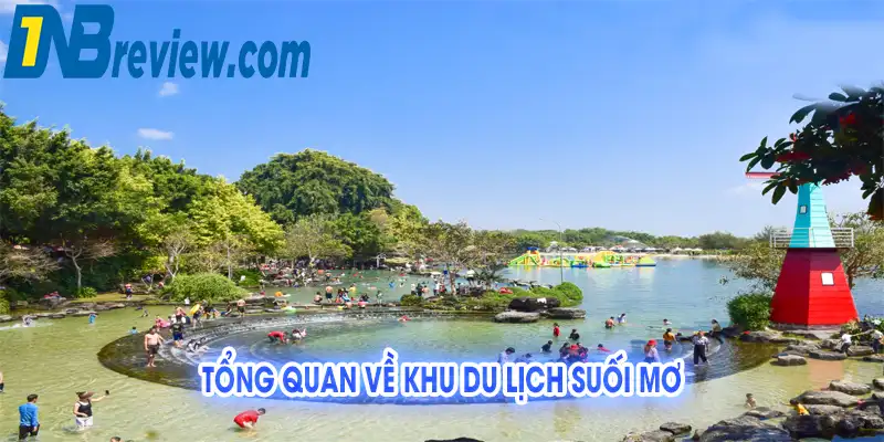 Review Khu Du Lịch Suối Mơ: Giá Vé, Trải Nghiệm A-Z 2025